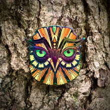Load image into Gallery viewer, LE 65 “Inferno” Owl Totem pin